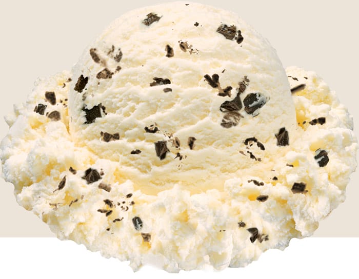 Chocolate-Chip ice cream scoop