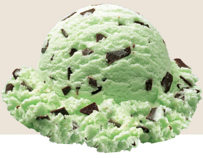 A Scoop of Stewart's Mint Chip Ice Cream