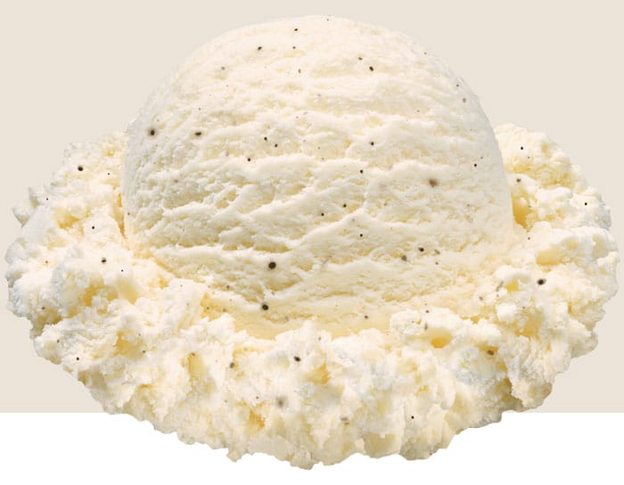 a scoop of Philly Vanilla a vanilla ice cream with crushed vanilla beans