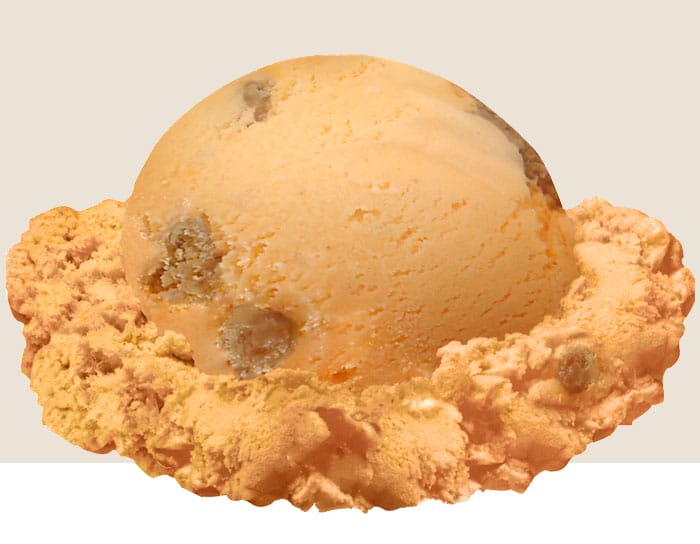 Pumpkin Pie Ice Cream scoop