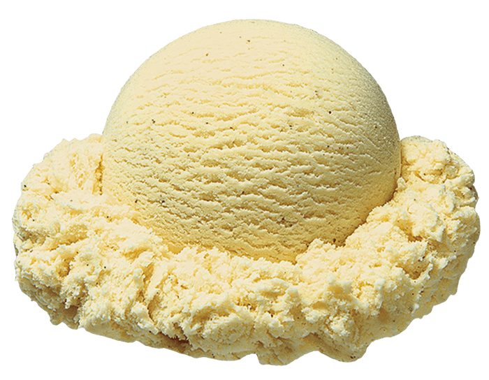 eggnog ice cream scoop