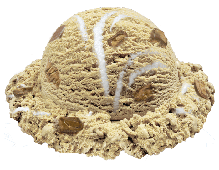 Happy Camper is a graham cracker ice cream with graham cracker pieces, a marshmallow swirl, and chocolate peanut butter cups scoop