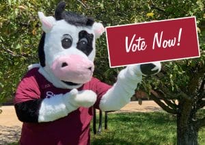 Flavor mascot with vote now sign