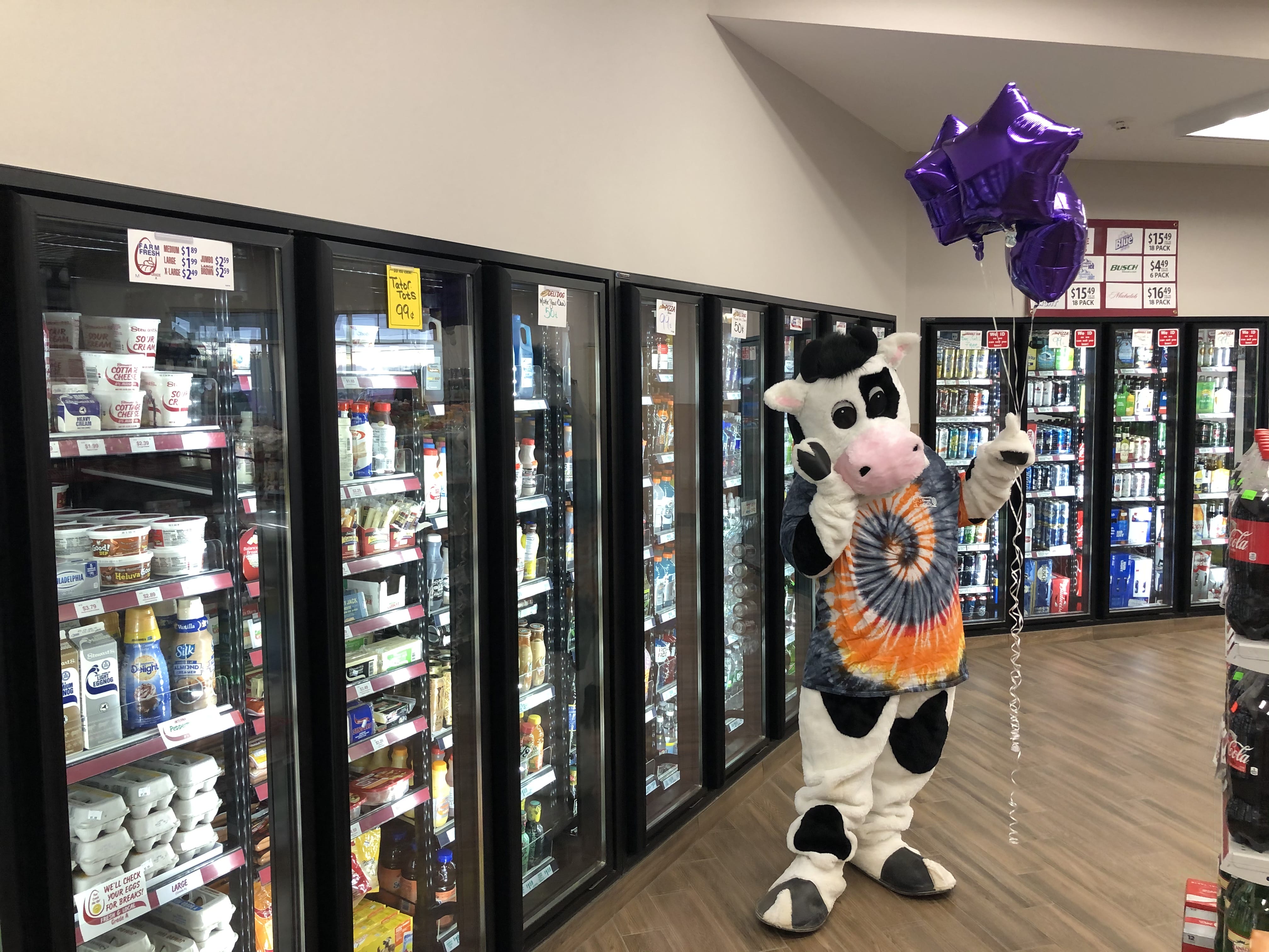 Flavor the cow holding three purple balloons by the coolers