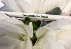 compostable straws