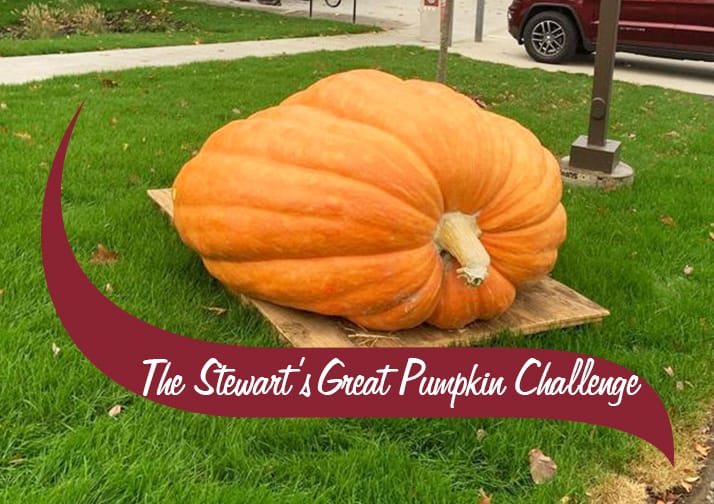 Giant Pumpkin in Front of Stewart's