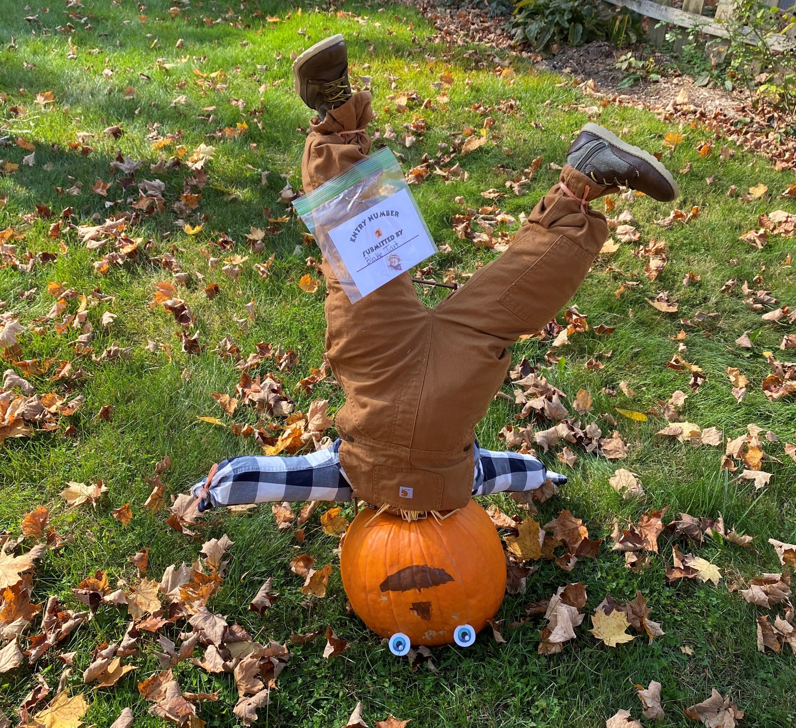 upside down Scarecrow