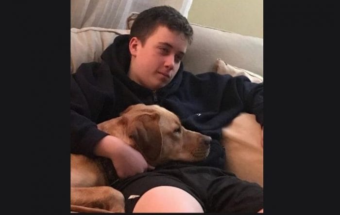 Service dog Benni with his owner Matthew