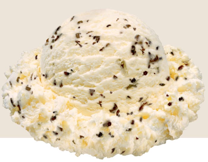 a scoop of Stewart's Toasted Coconut, a toasted coconut ice cream with chocolate coconut bits.
