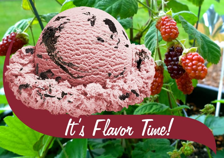 It's Flavor Time Ice cream scoop with berry background