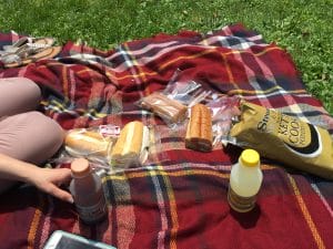 picnic with stewart's products