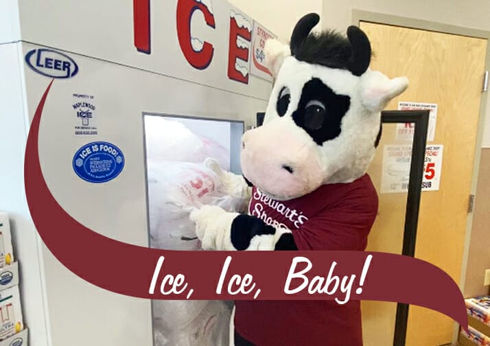 Flavor the cow getting ice out of the cooler. The text reads Ice Ice Baby