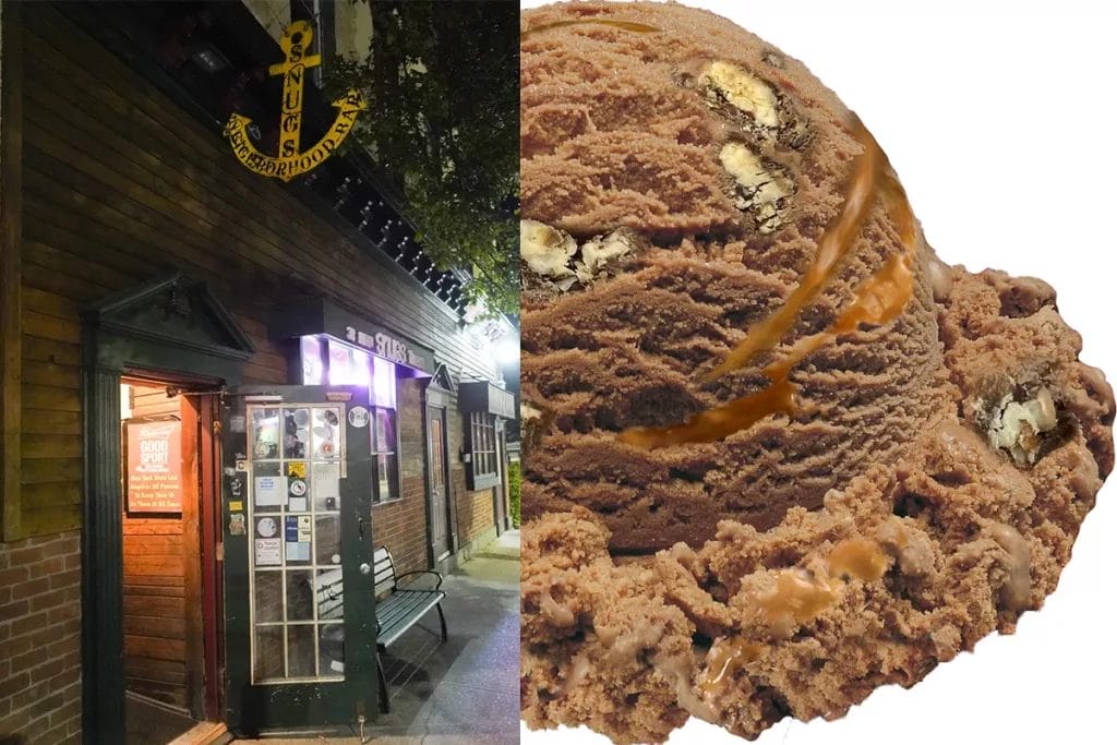 Chocolate Sea Turtle Snug's Harbor New Paltz