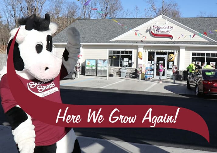 Grand opening flavor the cow in front of the shop
