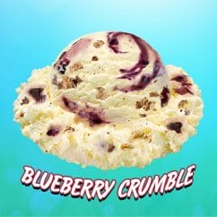 Blueberry Crumble with scoop