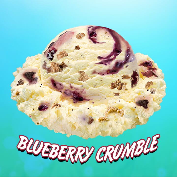 Blueberry Crumble with scoop