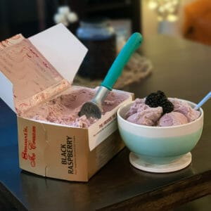black raspberry ice cream in a bowl 