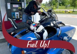 Fuel Up With Stewart's