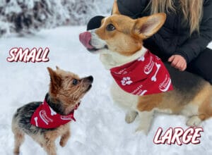 Stewart's Dog Bandana