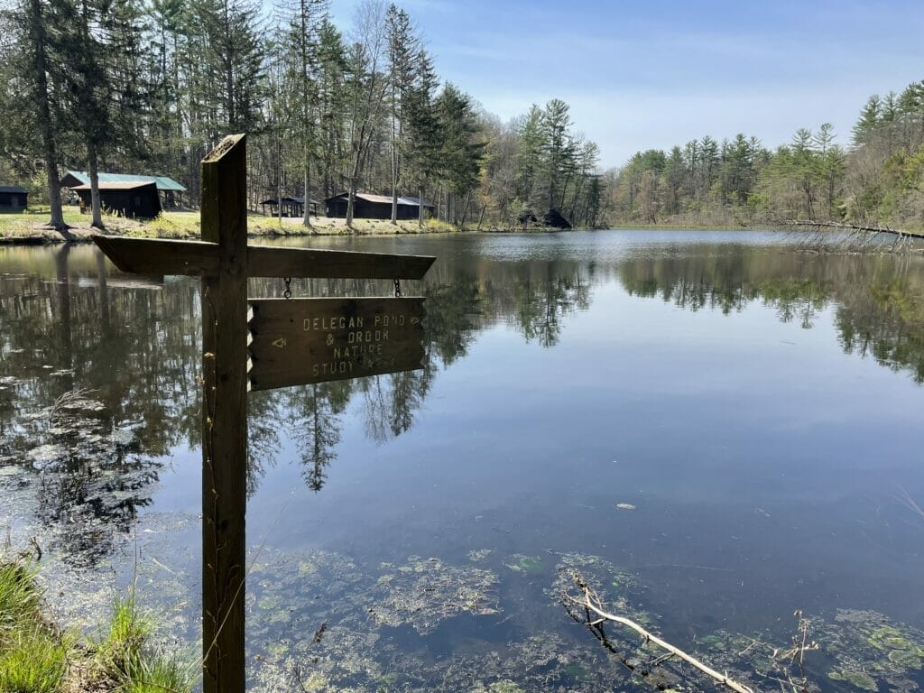 Delecan Pond at Wilton Wildlife Preserve