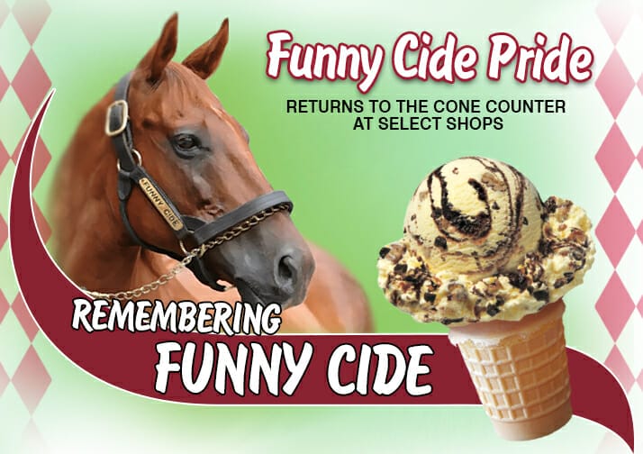 Funny Cide Pride ice cream and picture of horse