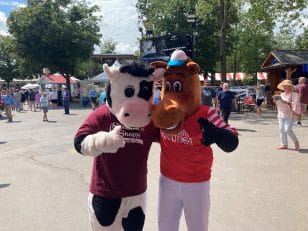 Flavor the Cow and Race Horse Mascot 