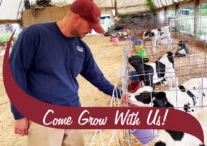 When Brett, one of our certified milk inspectors, visits our dairy farms he is there to make sure all of the happy cows are taken care of. A Stewart's milk inspector petting a cow.