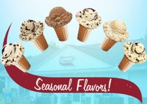 6 cones, 2024 seasonal flavors.