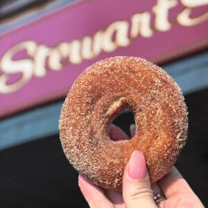 food to go apple cider donuts