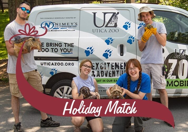 Stewart's Shops highlights the Utica Zoo, a 2024-2025 Holiday Match recipient